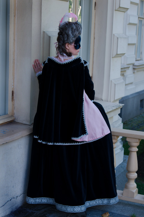 18th
        century masquerade dress