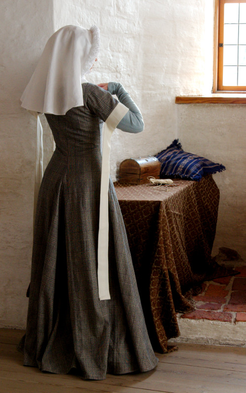 14th century cotehardie